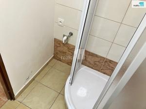 Pronájem bytu 1+kk, Dobřany, Sokolovská, 24 m2