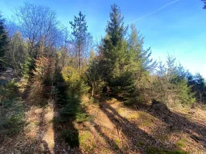 Dražba pozemku, Ústí, 11769 m2