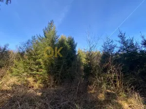 Dražba pozemku, Ústí, 11769 m2