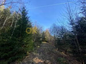 Dražba pozemku, Ústí, 11769 m2