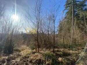 Dražba pozemku, Ústí, 11769 m2