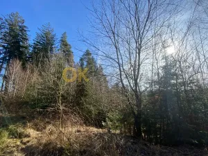 Dražba pozemku, Ústí, 11769 m2