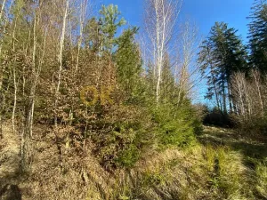 Dražba pozemku, Ústí, 11769 m2