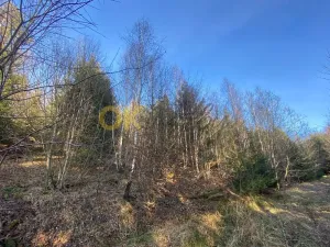 Dražba pozemku, Ústí, 11769 m2