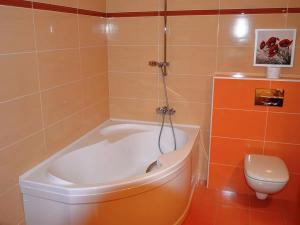 Pronájem bytu 2+kk, Jihlava, Vrchlického, 48 m2