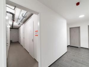 Pronájem bytu 2+kk, Praha - Hloubětín, Poděbradská, 62 m2