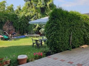 Pronájem bytu 1+kk, Teplice, U Červeného kostela, 40 m2