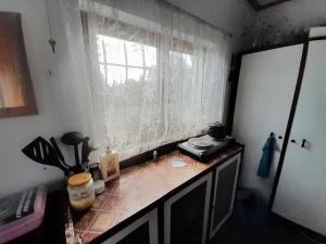 Pronájem zahrady, Praha - Strašnice, Dolínecká, 400 m2