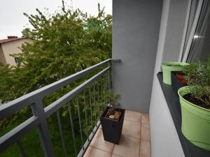 Prodej bytu 3+1, Nasavrky, Truhlářská, 82 m2
