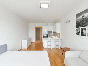 Pronájem bytu 1+kk, Praha - Nové Město, 42 m2