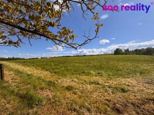 Prodej chalupy, Deštnice - Sádek, 92 m2