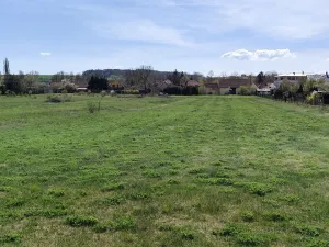 Prodej zahrady, Velký Borek, 800 m2