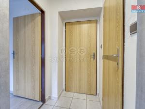 Pronájem kanceláře, Plzeň, Zikmunda Wintra, 44 m2