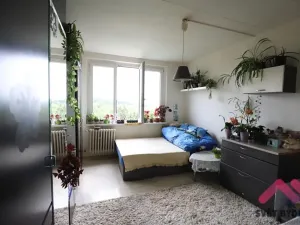 Prodej bytu 1+kk, Říčany, U Vodojemu, 20 m2