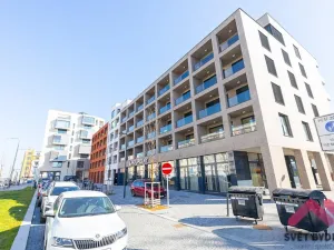 Pronájem bytu 1+kk, Praha - Žižkov, Jana Želivského, 35 m2