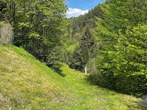 Prodej chalupy, Dobřeň, 150 m2