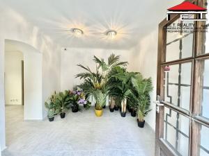 Pronájem obchodního prostoru, Brno - Brno-město, Opletalova, 36 m2