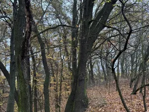 Prodej pozemku, Praha - Nové Město, 9174 m2