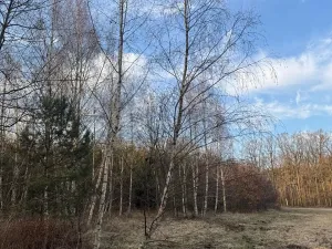 Prodej pozemku, Stéblová, 8147 m2