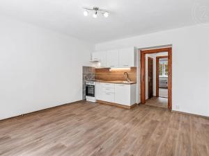 Pronájem bytu 1+1, Děčín, Riegrova, 35 m2