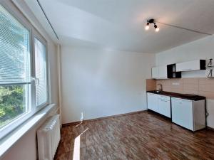 Pronájem bytu 1+kk, Ústí nad Labem - Ústí nad Labem-centrum, SNP, 22 m2