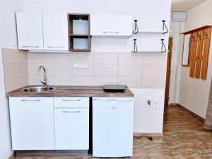 Pronájem bytu 1+kk, Ústí nad Labem - Ústí nad Labem-centrum, SNP, 22 m2