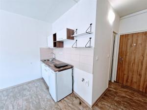 Pronájem bytu 1+kk, Ústí nad Labem - Ústí nad Labem-centrum, SNP, 22 m2