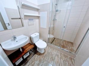 Pronájem bytu 1+kk, Ústí nad Labem - Ústí nad Labem-centrum, SNP, 22 m2