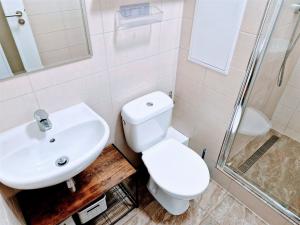 Pronájem bytu 1+kk, Ústí nad Labem - Ústí nad Labem-centrum, SNP, 22 m2