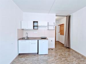 Pronájem bytu 1+kk, Ústí nad Labem - Ústí nad Labem-centrum, SNP, 22 m2