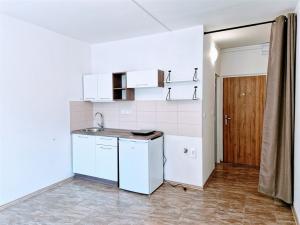 Pronájem bytu 1+kk, Ústí nad Labem - Ústí nad Labem-centrum, SNP, 22 m2