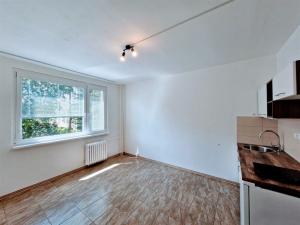 Pronájem bytu 1+kk, Ústí nad Labem - Ústí nad Labem-centrum, SNP, 22 m2