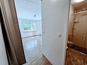 Pronájem bytu 1+kk, Ústí nad Labem - Ústí nad Labem-centrum, SNP, 22 m2