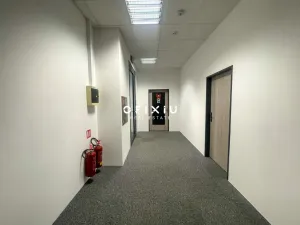 Pronájem kanceláře, Brno, Vídeňská, 300 m2