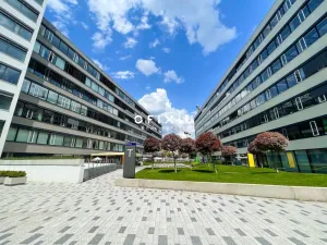 Pronájem kanceláře, Brno - Staré Brno, Nové sady, 290 m2