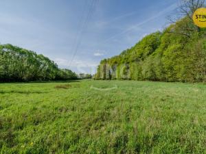 Prodej pozemku pro bydlení, Václavovice, 25867 m2