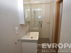 Pronájem bytu 1+1, Praha - Žižkov, Seifertova, 38 m2