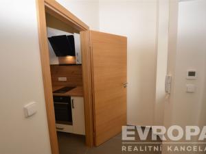Pronájem bytu 1+1, Praha - Žižkov, Seifertova, 38 m2
