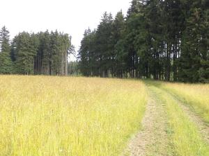 Dražba pole, Horní Štěpánov, 16122 m2