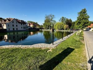 Pronájem rodinného domu, Holubice, Na Hrázi, 150 m2