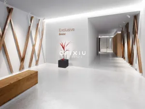 Pronájem obchodního prostoru, Brno - Staré Brno, Nové sady, 520 m2