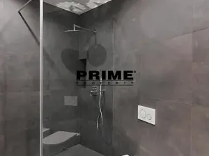 Pronájem bytu 4+kk, Praha - Vinohrady, Laubova, 166 m2