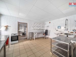 Pronájem skladu, Nepomuk, Husova, 124 m2