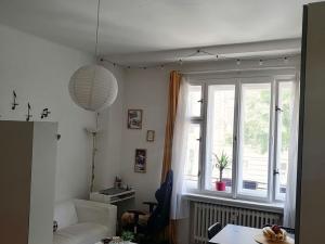Pronájem bytu 1+kk, Praha - Vinohrady, Lucemburská, 30 m2