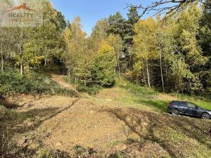 Prodej pozemku pro bydlení, Mikulůvka, 6435 m2