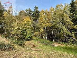 Prodej pozemku pro bydlení, Mikulůvka, 6435 m2