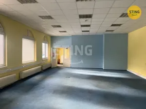 Pronájem skladu, Ostrava, Na Najmanské, 342 m2