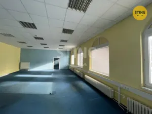 Pronájem skladu, Ostrava, Na Najmanské, 342 m2