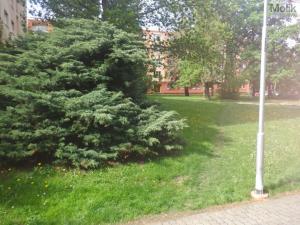 Prodej bytu 2+kk, Blatenská, Chomutov 1, Česko, Blatenská, 56 m2