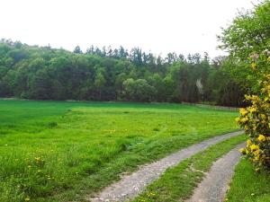 Prodej pozemku pro bydlení, Stavenice, 1853 m2